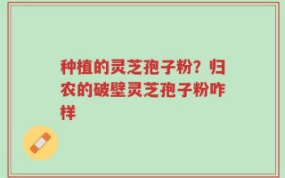 种植的灵芝孢子粉？归农的破壁灵芝孢子粉咋样