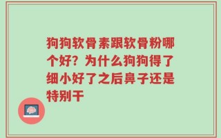 狗狗软骨素跟软骨粉哪个好？为什么狗狗得了细小好了之后鼻子还是特别干