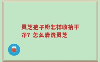 灵芝孢子粉怎样收拾干净？怎么清洗灵芝