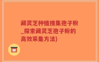 藏灵芝种植搜集孢子粉_探索藏灵芝孢子粉的高效采集方法)