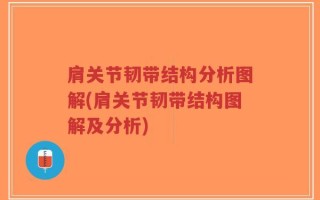 肩关节韧带结构分析图解(肩关节韧带结构图解及分析)