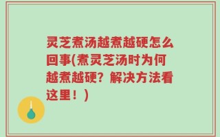 灵芝煮汤越煮越硬怎么回事(煮灵芝汤时为何越煮越硬？解决方法看这里！)