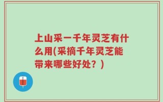 上山采一千年灵芝有什么用(采摘千年灵芝能带来哪些好处？)
