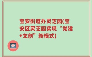 宝安街道办灵芝园(宝安区灵芝园实现“党建+文创”新模式)