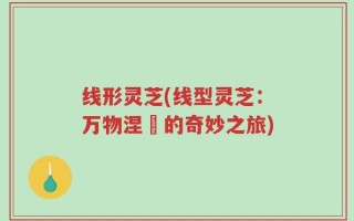 线形灵芝(线型灵芝：万物涅槃的奇妙之旅)