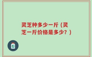 灵芝种多少一斤 (灵芝一斤价格是多少？)