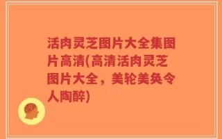 活肉灵芝图片大全集图片高清(高清活肉灵芝图片大全，美轮美奂令人陶醉)