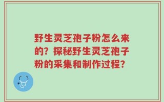 野生灵芝孢子粉怎么来的？探秘野生灵芝孢子粉的采集和制作过程？