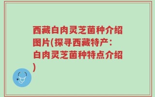 西藏白肉灵芝菌种介绍图片(探寻西藏特产：白肉灵芝菌种特点介绍)