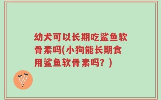 幼犬可以长期吃鲨鱼软骨素吗(小狗能长期食用鲨鱼软骨素吗？)