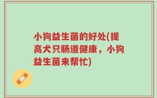 小狗益生菌的好处(提高犬只肠道健康，小狗益生菌来帮忙)