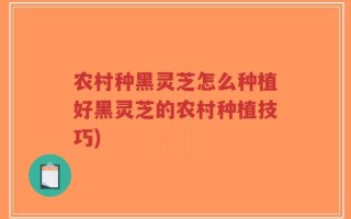 农村种黑灵芝怎么种植好黑灵芝的农村种植技巧)