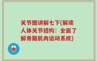 关节图讲解七下(解读人体关节结构：全面了解骨骼肌肉运动系统)