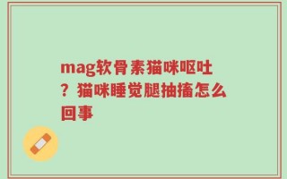 mag软骨素猫咪呕吐？猫咪睡觉腿抽搐怎么回事