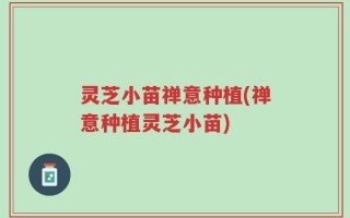 灵芝小苗禅意种植(禅意种植灵芝小苗)