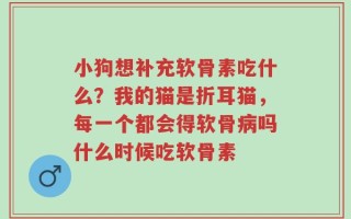 小狗想补充软骨素吃什么？我的猫是折耳猫，每一个都会得软骨病吗什么时候吃软骨素