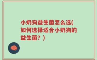 小奶狗益生菌怎么选(如何选择适合小奶狗的益生菌？)