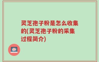 灵芝孢子粉是怎么收集的(灵芝孢子粉的采集过程简介)