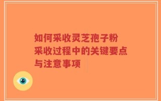 如何采收灵芝孢子粉 采收过程中的关键要点与注意事项