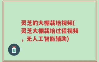 灵芝的大棚栽培视频(灵芝大棚栽培过程视频，无人工智能辅助)