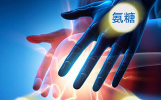 氨糖有哪些作用？和软骨素有什么不同？
