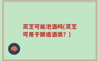 灵芝可能泡酒吗(灵芝可用于酿造酒类？)