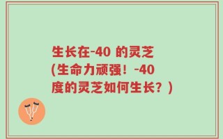 生长在-40 的灵芝(生命力顽强！-40度的灵芝如何生长？)