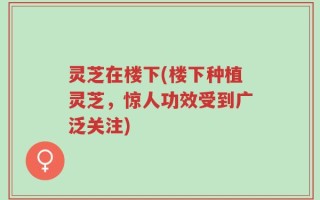 灵芝在楼下(楼下种植灵芝，惊人功效受到广泛关注)