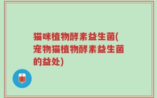 猫咪植物酵素益生菌(宠物猫植物酵素益生菌的益处)