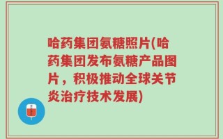 哈药集团氨糖照片(哈药集团发布氨糖产品图片，积极推动全球关节炎治疗技术发展)
