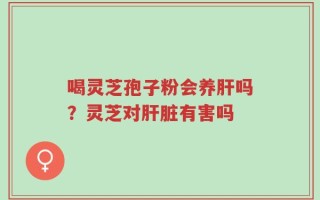 喝灵芝孢子粉会养肝吗？灵芝对肝脏有害吗