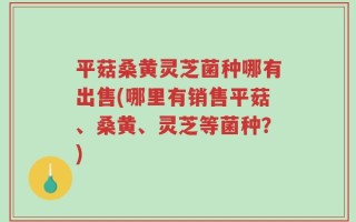 平菇桑黄灵芝菌种哪有出售(哪里有销售平菇、桑黄、灵芝等菌种？)