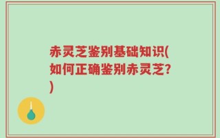 赤灵芝鉴别基础知识(如何正确鉴别赤灵芝？)