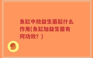 鱼缸中放益生菌起什么作用(鱼缸加益生菌有何功效？)