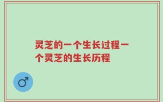 灵芝的一个生长过程一个灵芝的生长历程