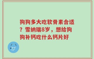 狗狗多大吃软骨素合适？雪纳瑞8岁，想给狗狗补钙吃什么钙片好