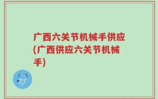 广西六关节机械手供应(广西供应六关节机械手)