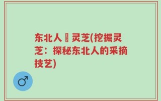 东北人採灵芝(挖掘灵芝：探秘东北人的采摘技艺)