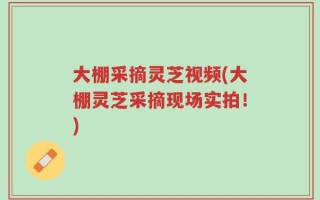 大棚采摘灵芝视频(大棚灵芝采摘现场实拍！)