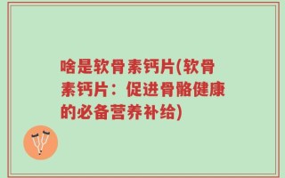 啥是软骨素钙片(软骨素钙片：促进骨骼健康的必备营养补给)