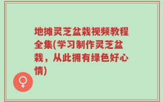 地摊灵芝盆栽视频教程全集(学习制作灵芝盆栽，从此拥有绿色好心情)