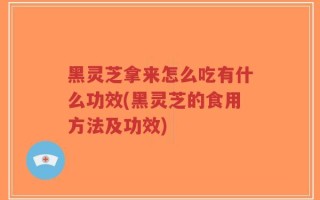 黑灵芝拿来怎么吃有什么功效(黑灵芝的食用方法及功效)