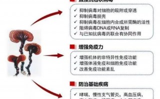 长期服灵芝孢子粉的效果怎么样，好还是不好？