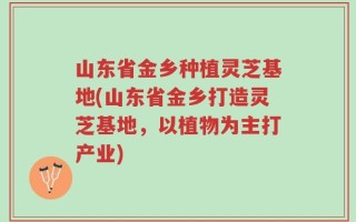 山东省金乡种植灵芝基地(山东省金乡打造灵芝基地，以植物为主打产业)