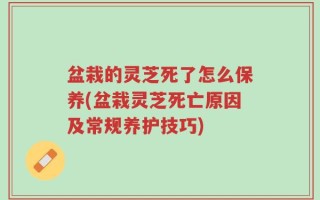 盆栽的灵芝死了怎么保养(盆栽灵芝死亡原因及常规养护技巧)