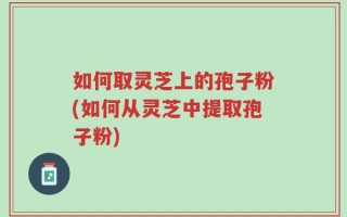 如何取灵芝上的孢子粉(如何从灵芝中提取孢子粉)