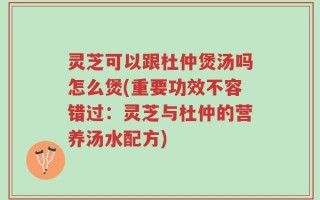 灵芝可以跟杜仲煲汤吗怎么煲(重要功效不容错过：灵芝与杜仲的营养汤水配方)