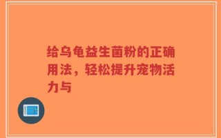 给乌龟益生菌粉的正确用法，轻松提升宠物活力与