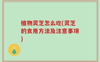 植物灵芝怎么吃(灵芝的食用方法及注意事项)