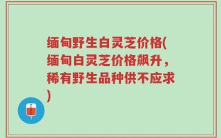 缅甸野生白灵芝价格(缅甸白灵芝价格飙升，稀有野生品种供不应求)